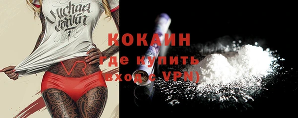 индика Волоколамск