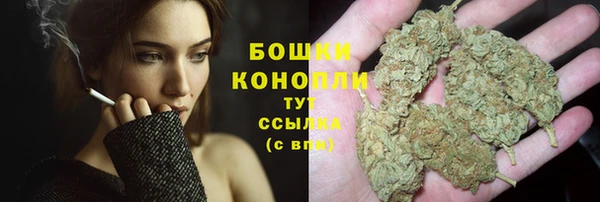 индика Волоколамск