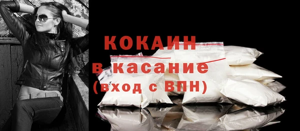 индика Волоколамск