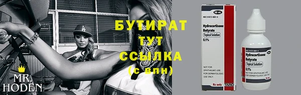 индика Волоколамск