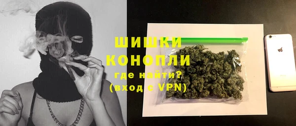 индика Волоколамск