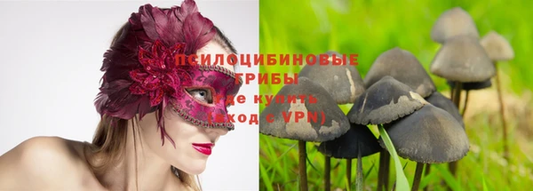 винт Володарск