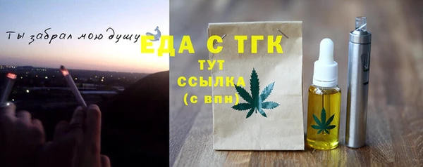 индика Волоколамск