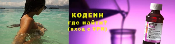индика Волоколамск