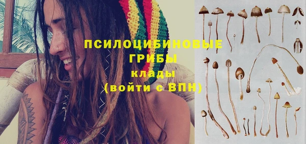 винт Володарск