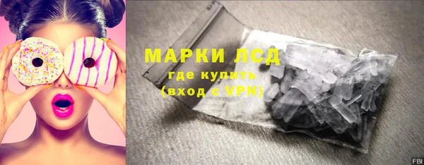индика Волоколамск