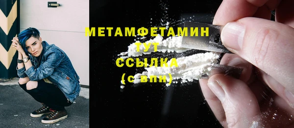 индика Волоколамск
