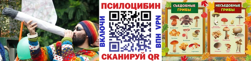 blacksprut tor  Дербент  Галлюциногенные грибы MAGIC MUSHROOMS 
